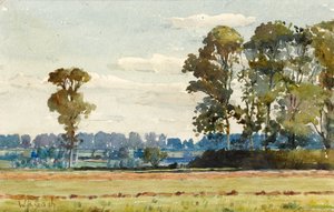 Paesaggio con olmi